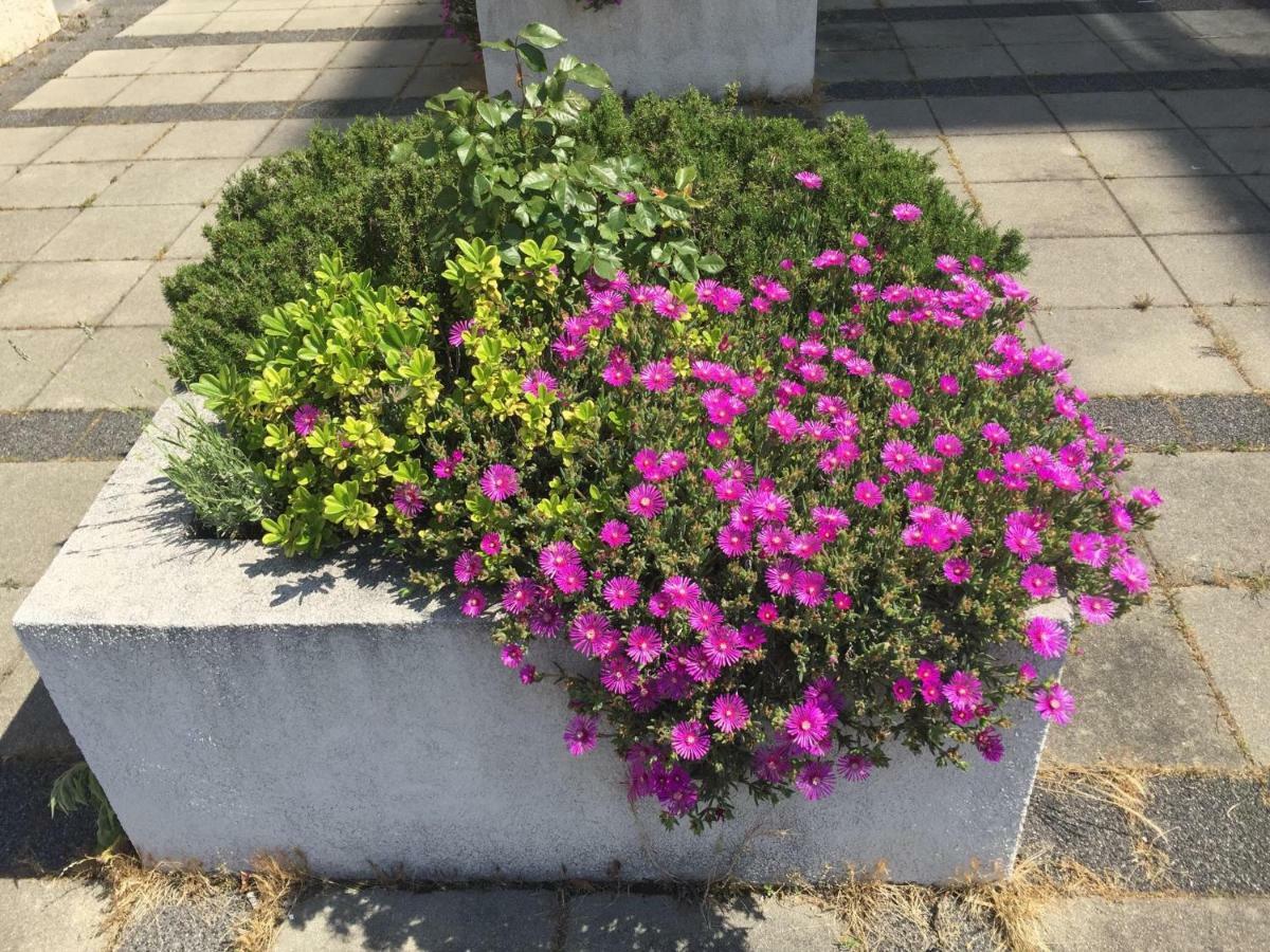 רייקה Apartment West מראה חיצוני תמונה